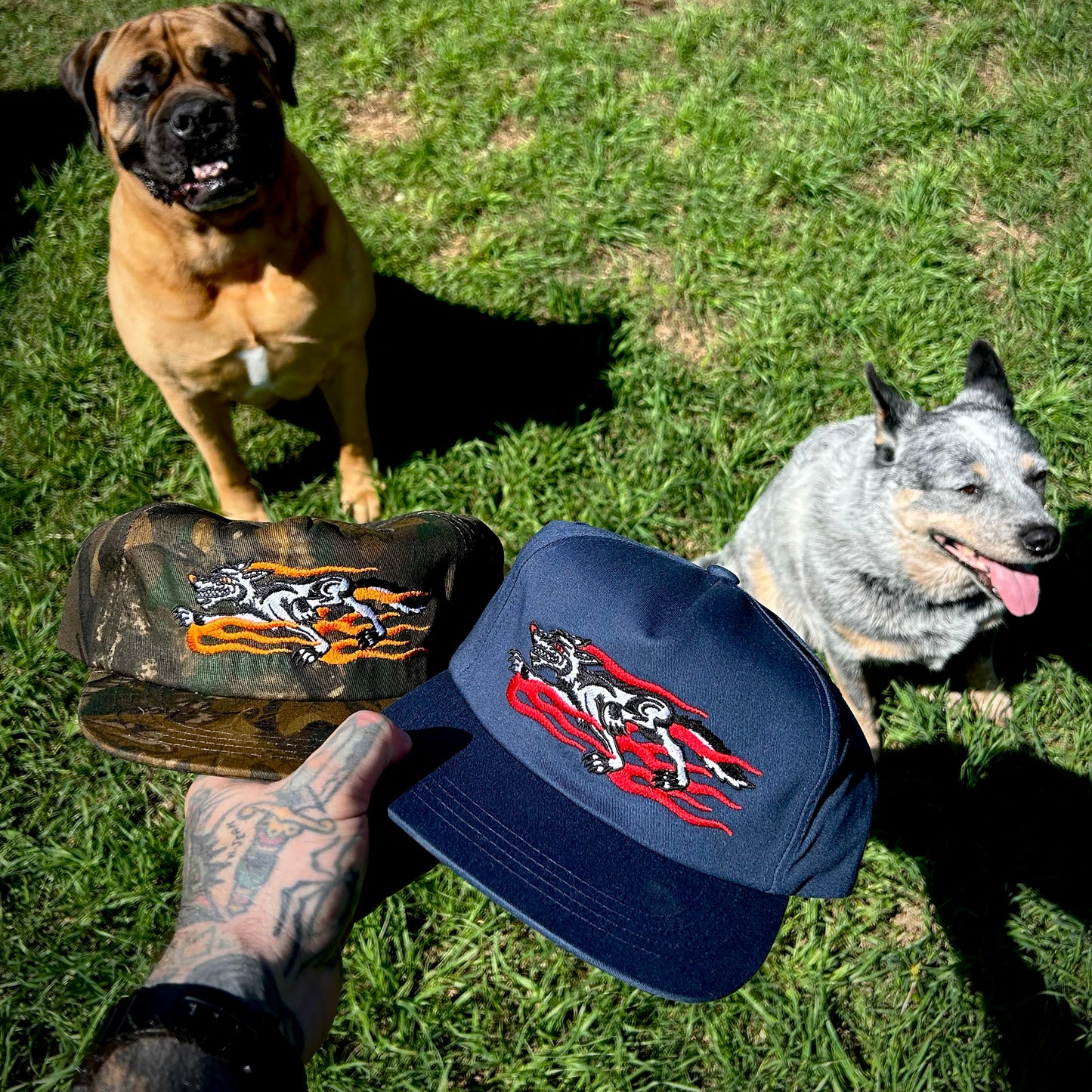 Texas Hills Wolf Cap