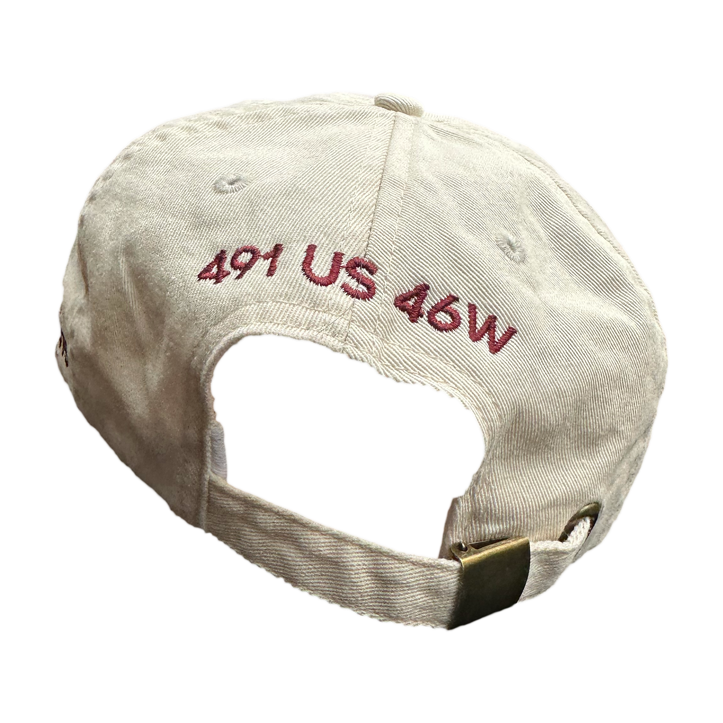 Panther® Fountains of Wayne Dad Cap